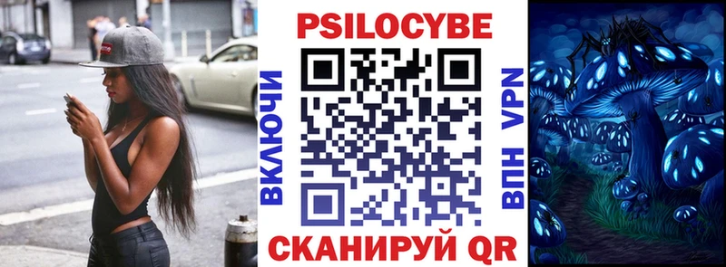 Псилоцибиновые грибы Cubensis  Купить  Хвалынск 
