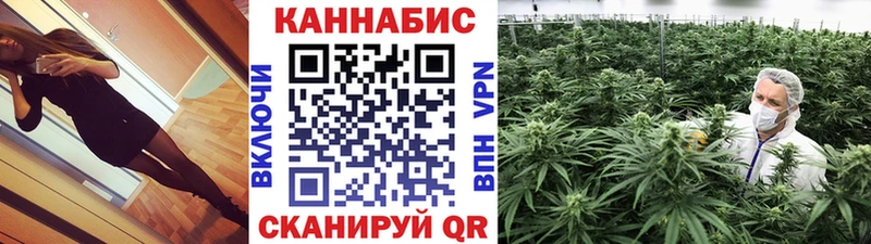 Бошки Шишки ГИДРОПОН  Купить закладки  Хвалынск 